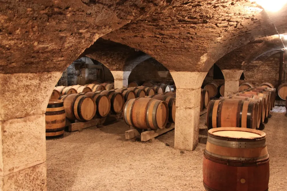 Cave Porto